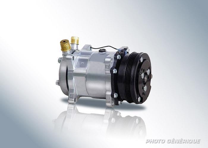 Compresseur, climatisation VALEO 813132
